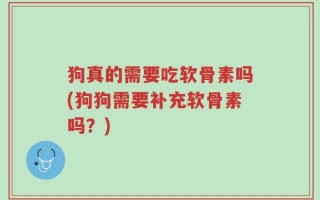狗真的需要吃软骨素吗(狗狗需要补充软骨素吗？)