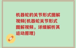 机器蛇的关节形式图解视频(机器蛇关节形式图解视频，详细解析其运动原理)