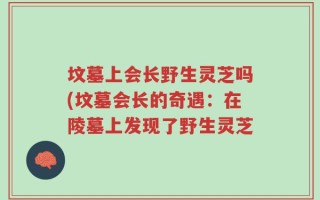 坟墓上会长野生灵芝吗(坟墓会长的奇遇：在陵墓上发现了野生灵芝