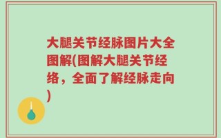 大腿关节经脉图片大全图解(图解大腿关节经络，全面了解经脉走向)