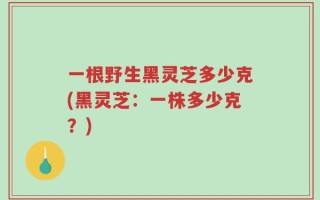 一根野生黑灵芝多少克(黑灵芝：一株多少克？)