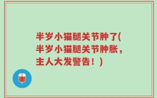 半岁小猫腿关节肿了(半岁小猫腿关节肿胀，主人大发警告！)