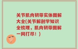 关节肌肉韧带实体图解大全(关节解剖学知识全梳理，肌肉韧带图解一网打尽！)