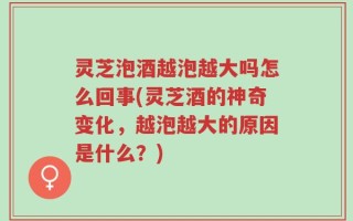 灵芝泡酒越泡越大吗怎么回事(灵芝酒的神奇变化，越泡越大的原因是什么？)