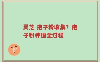 灵芝 孢子粉收集？孢子粉种植全过程