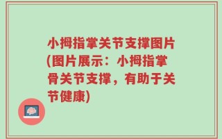 小拇指掌关节支撑图片(图片展示：小拇指掌骨关节支撑，有助于关节健康)