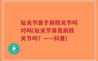 趾关节属于前肢关节吗对吗(趾关节算是前肢关节吗？——科普)