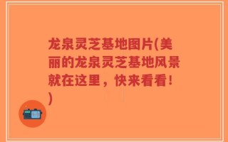 龙泉灵芝基地图片(美丽的龙泉灵芝基地风景就在这里，快来看看！)