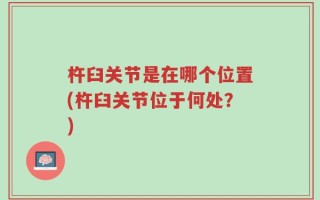 杵臼关节是在哪个位置(杵臼关节位于何处？)
