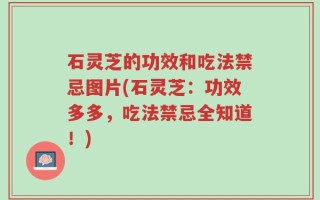 石灵芝的功效和吃法禁忌图片(石灵芝：功效多多，吃法禁忌全知道！)