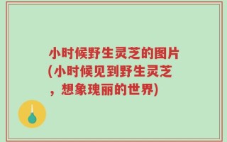 小时候野生灵芝的图片(小时候见到野生灵芝，想象瑰丽的世界)