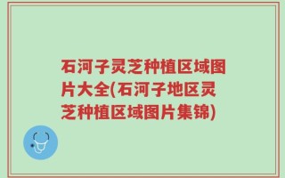 石河子灵芝种植区域图片大全(石河子地区灵芝种植区域图片集锦)