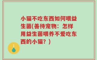 小猫不吃东西如何喂益生菌(善待宠物：怎样用益生菌喂养不爱吃东西的小猫？)
