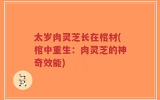 太岁肉灵芝长在棺材(棺中重生：肉灵芝的神奇效能)