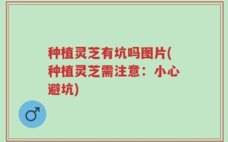 种植灵芝有坑吗图片(种植灵芝需注意：小心避坑)