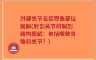 肘部关节包括哪些部位图解(肘部关节的解剖结构图解：包括哪些骨骼和关节？)