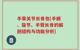手章关节长骨包(手腕、指节、手臂长骨的解剖结构与功能分析)