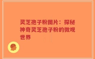 灵芝孢子粉图片：探秘神奇灵芝孢子粉的微观世界