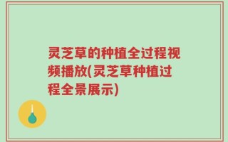 灵芝草的种植全过程视频播放(灵芝草种植过程全景展示)