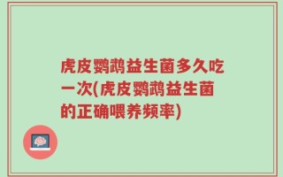 虎皮鹦鹉益生菌多久吃一次(虎皮鹦鹉益生菌的正确喂养频率)