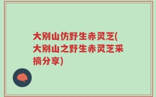 大别山仿野生赤灵芝(大别山之野生赤灵芝采摘分享)