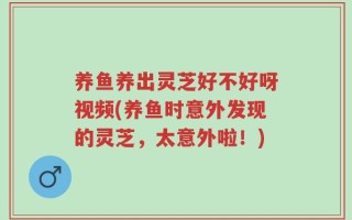 养鱼养出灵芝好不好呀视频(养鱼时意外发现的灵芝，太意外啦！)