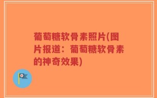葡萄糖软骨素照片(图片报道：葡萄糖软骨素的神奇效果)