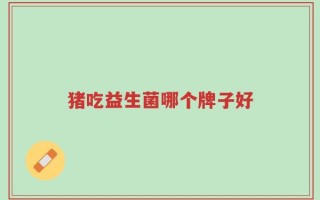 猪吃益生菌哪个牌子好