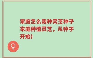 家庭怎么栽种灵芝种子家庭种植灵芝，从种子开始)