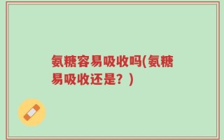 氨糖容易吸收吗(氨糖易吸收还是？)