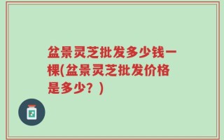 盆景灵芝批发多少钱一棵(盆景灵芝批发价格是多少？)