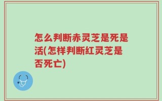 怎么判断赤灵芝是死是活(怎样判断红灵芝是否死亡)