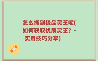 怎么抓到极品灵芝呢(如何获取优质灵芝？- 实用技巧分享)