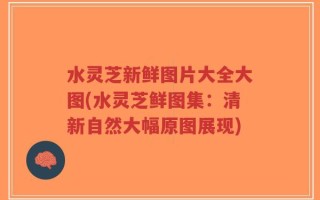 水灵芝新鲜图片大全大图(水灵芝鲜图集：清新自然大幅原图展现)