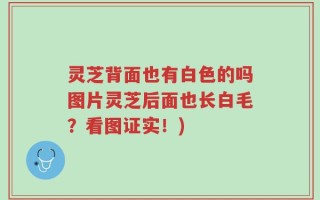 灵芝背面也有白色的吗图片灵芝后面也长白毛？看图证实！)