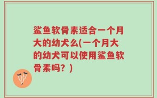 鲨鱼软骨素适合一个月大的幼犬么(一个月大的幼犬可以使用鲨鱼软骨素吗？)