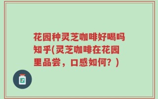 花园种灵芝咖啡好喝吗知乎(灵芝咖啡在花园里品尝，口感如何？)
