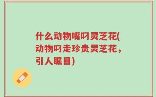 什么动物嘴叼灵芝花(动物叼走珍贵灵芝花，引人瞩目)