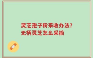 灵芝孢子粉采收办法？无柄灵芝怎么采摘