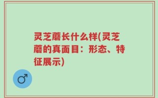 灵芝蘑长什么样(灵芝蘑的真面目：形态、特征展示)