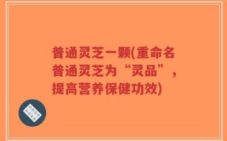 普通灵芝一颗(重命名普通灵芝为“灵品”，提高营养保健功效)