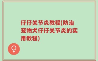 仔仔关节炎教程(防治宠物犬仔仔关节炎的实用教程)