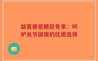 益直康氨糖软骨素：呵护关节健康的优质选择