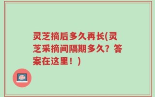 灵芝摘后多久再长(灵芝采摘间隔期多久？答案在这里！)