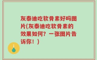 灰泰迪吃软骨素好吗图片(灰泰迪吃软骨素的效果如何？一张图片告诉你！)