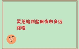 灵芝站到盐田夜市多远路程