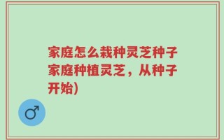 家庭怎么栽种灵芝种子家庭种植灵芝，从种子开始)