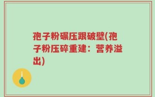 孢子粉碾压跟破壁(孢子粉压碎重建：营养溢出)
