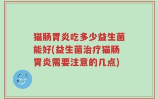 猫肠胃炎吃多少益生菌能好(益生菌治疗猫肠胃炎需要注意的几点)