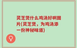灵芝煲什么鸡汤好啊图片(灵芝煲，为鸡汤添一份神秘味道)